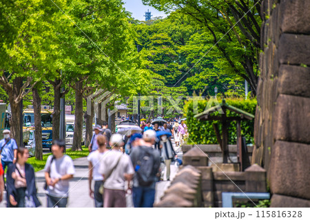 日本の東京都市景観インバウンド復活…和田倉門交差点側から外国人観光客で賑わう江戸城跡などを望む=6月 日本の東京都市景観インバウンド復活…和田倉門交差点側から外国人観光客で賑わう江戸城跡などを望む=6月 115816328