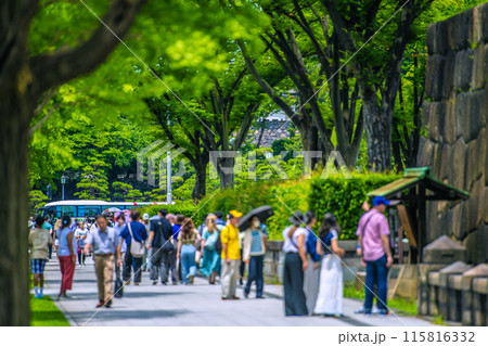 日本の東京都市景観インバウンド復活…和田倉門交差点側から外国人観光客で賑わう江戸城跡などを望む＝6月 115816332