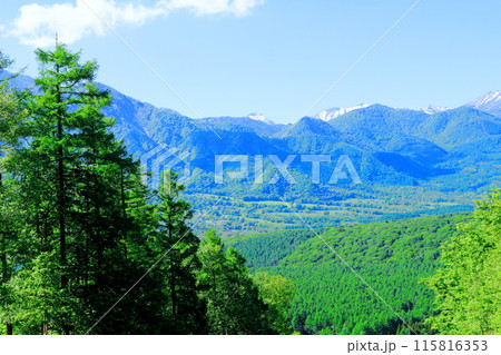 6月の戸隠山　　　春の戸隠山 115816353