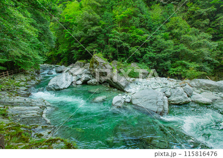 感動の安居渓谷 感動の安居渓谷 115816476