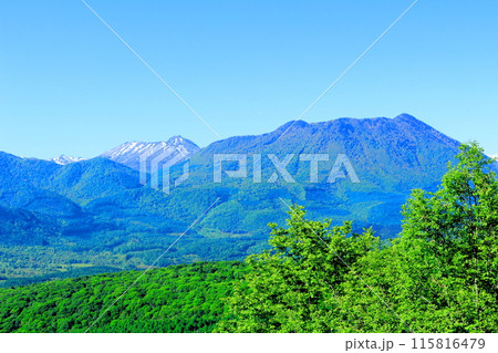 6月の戸隠山と黒姫山と高妻山 6月の戸隠山と黒姫山と高妻山 115816479