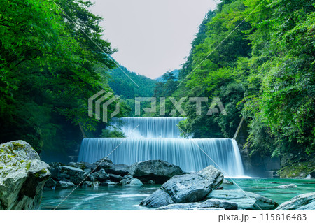感動の安居渓谷 感動の安居渓谷 115816483