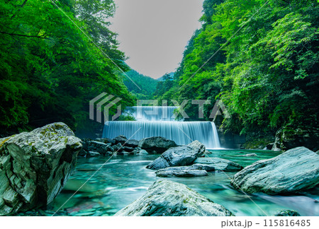 感動の安居渓谷 115816485