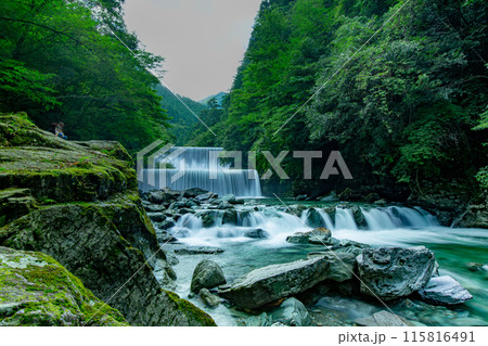 感動の安居渓谷 感動の安居渓谷 115816491