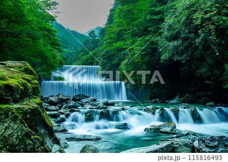 感動の安居渓谷 115816493