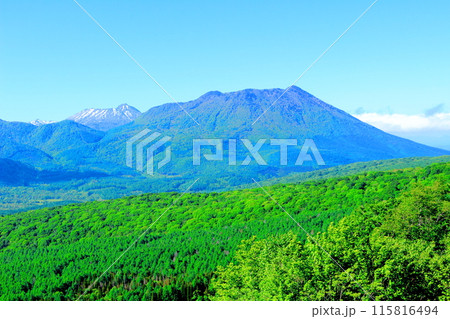 6月の戸隠山と黒姫山と高妻山 115816494