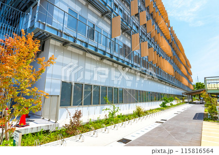 兵庫県 新しくなった伊丹市役所庁舎 兵庫県 新しくなった伊丹市役所庁舎 115816564