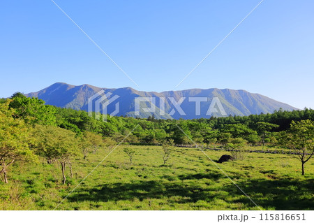 自然の宝庫　沼ッ原湿原／栃木県那須塩原市 115816651