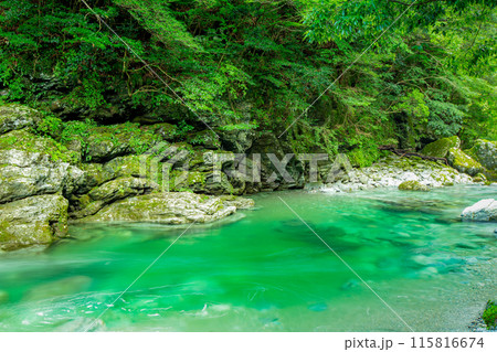 感動の安居渓谷 感動の安居渓谷 115816674