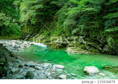 感動の安居渓谷 115816679