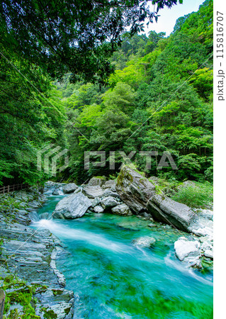 感動の安居渓谷 115816707