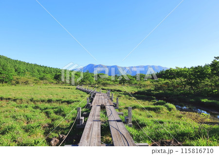 自然の宝庫 沼ッ原湿原/栃木県那須塩原市 自然の宝庫 沼ッ原湿原/栃木県那須塩原市 115816710