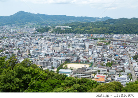 淡路島・洲本市街全景 115816970