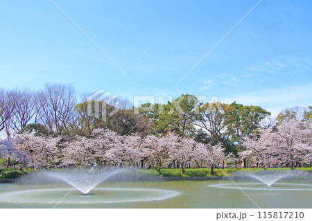愛知県名古屋市、名城公園御深井池と桜の風景 115817210