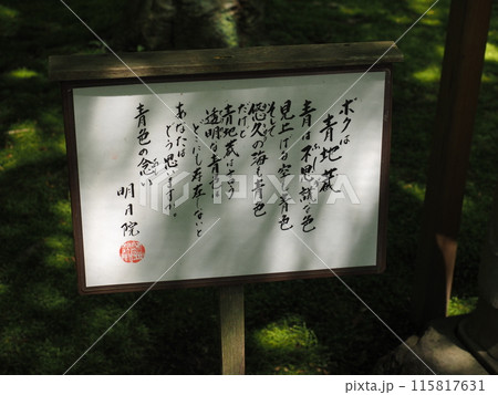 北鎌倉明月院の風景と植物 115817631