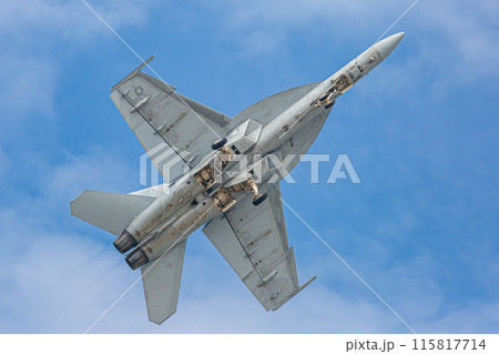 大空を飛行する戦闘機 大空を飛行する戦闘機 115817714