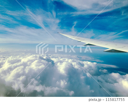 飛行機から見た雲海 115817755