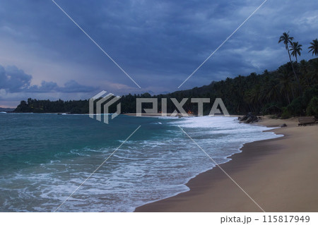 Twilight on a Tropical Beach 115817949