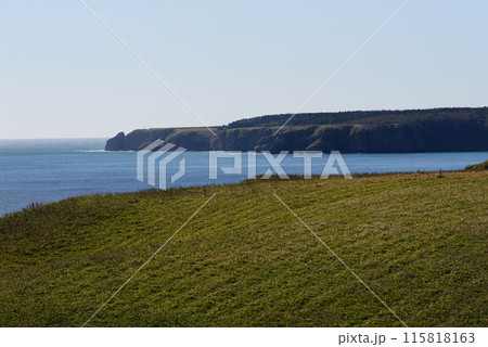 岬と花の霧街道から見る風景 岬と花の霧街道から見る風景 115818163