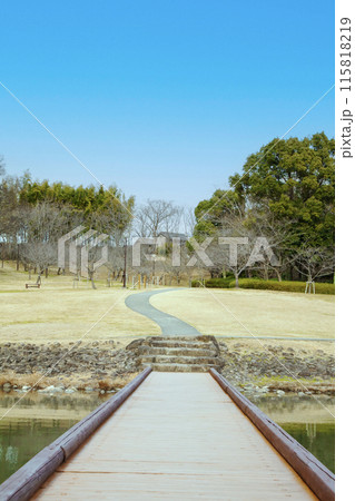 池のある公園の風景 115818219