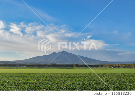 知床の風景 知床の風景 115818220