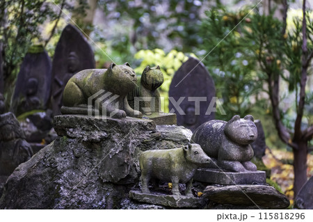 御岩神社 石像猫 御岩神社 石像猫 115818296