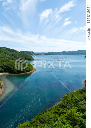 徳島県鳴門市の堀越橋から望む堀越水道とウチノ海 115818634