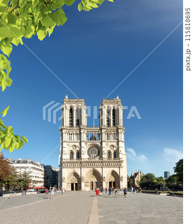 Facade of Notre Dame 115818695