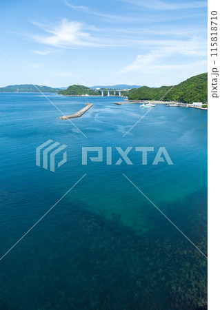 徳島県鳴門市の亀浦観光港 徳島県鳴門市の亀浦観光港 115818710