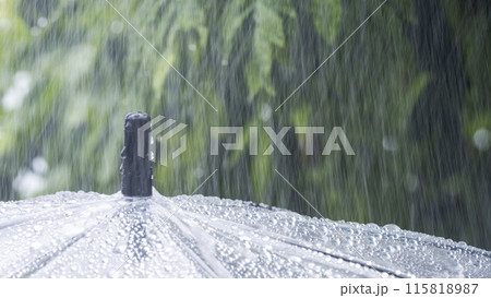 激しく降る雨のイメージ 激しく降る雨のイメージ 115818987