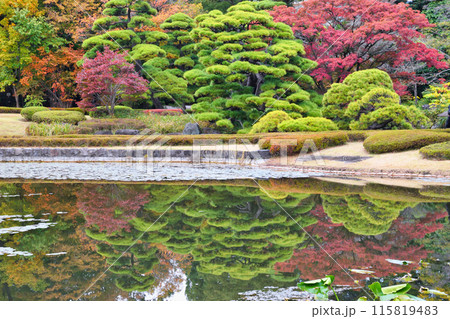 皇居東御苑 二の丸庭園と二の丸池(東京都千代田区) 皇居東御苑 二の丸庭園と二の丸池(東京都千代田区) 115819483