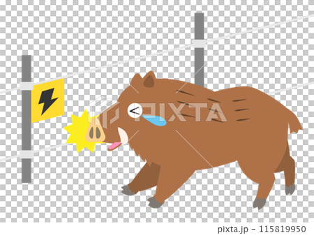 イノシシ対策で設置した電気柵に触れて猪がびっくりするイラスト（獣害対策） 115819950
