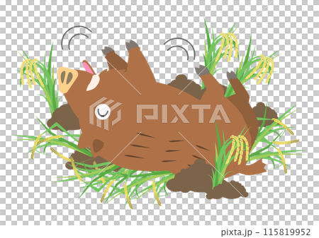 An illustration of a wild boar playing in the mud in a rice field and destroying rice An illustration of a wild boar playing in the mud in a rice field and destroying rice 115819952