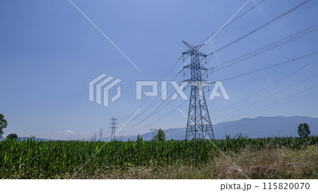 electric poles in the middle of the field 115820070