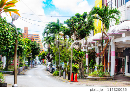 沖縄県　沖縄市　コザ　中央パークアベニュー 115820086
