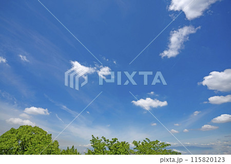 初夏の雲と木立 115820123