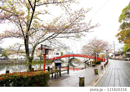 青井阿蘇神社前の蓮池と禊橋 雨に散る桜 115820158