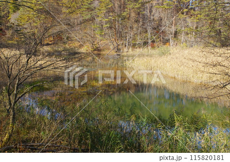 晩秋の裏磐梯・五色沼のみどろ沼 115820181
