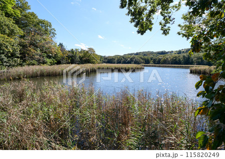静岡県 伊東市 一碧湖 (沼池) 静岡県 伊東市 一碧湖 (沼池) 115820249