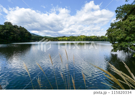 静岡県 伊東市 一碧湖 (大池) 静岡県 伊東市 一碧湖 (大池) 115820334