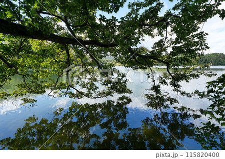 静岡県　伊東市　一碧湖　（大池） 115820400