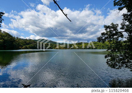 静岡県 伊東市 一碧湖 (大池) 静岡県 伊東市 一碧湖 (大池) 115820408