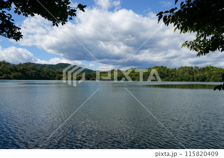 静岡県 伊東市 一碧湖 (大池) 静岡県 伊東市 一碧湖 (大池) 115820409