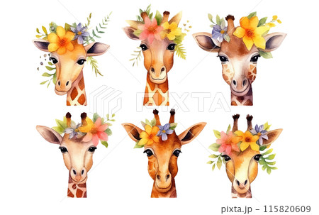 watercolor set illustration of cute giraffe isolated on white background 115820609