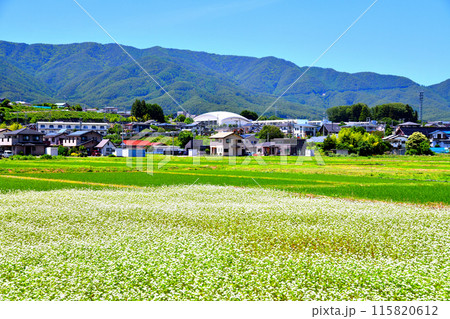 箕輪北小学校周辺を望む(長野県箕輪町)【2024.6】 115820612