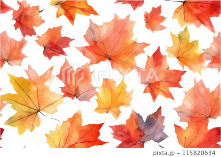 watercolor set vector illustration of maple leaves isolate on white background watercolor set vector illustration of maple leaves isolate on white background 115820634