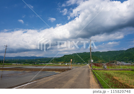 伊豆の国原風景 農村風景 伊豆の国原風景 農村風景 115820748
