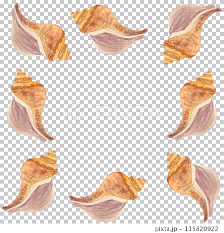 Shell frame in watercolor hand-drawn isolated on white. High quality illustration for notebooks, cards, posters, restaurant menu, souvenirs, stickers, tourism ads, dishes, room design and decor 115820922