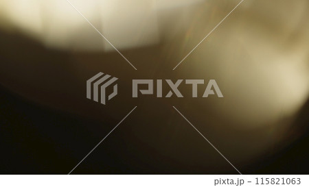 Real lens flare with strong sun backlight and light leaks 115821063