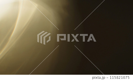 Real lens flare with strong sun backlight and light leaks Real lens flare with strong sun backlight and light leaks 115821075